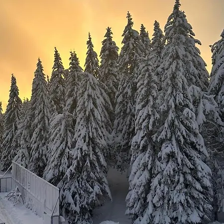 アパート Suncana Planina - *