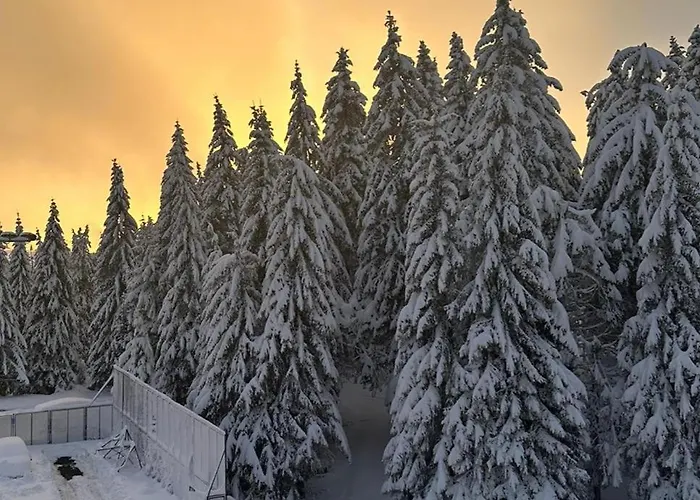 アパート Suncana Planina - *